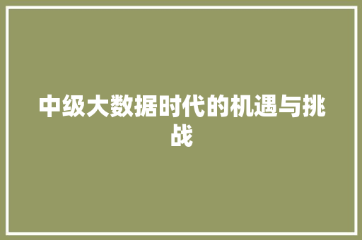 中级大数据时代的机遇与挑战