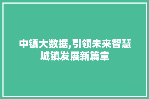 中镇大数据,引领未来智慧城镇发展新篇章