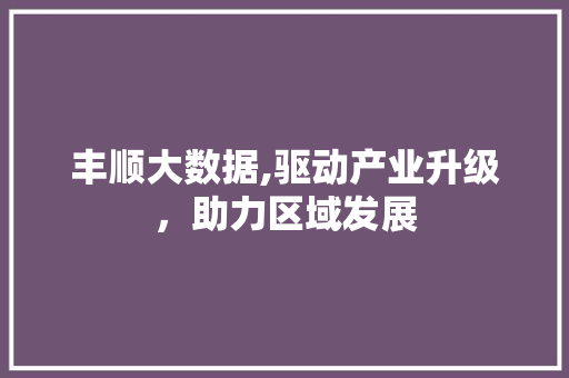 丰顺大数据,驱动产业升级，助力区域发展