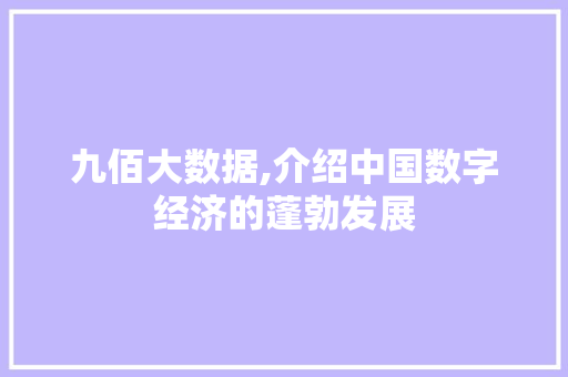 九佰大数据,介绍中国数字经济的蓬勃发展