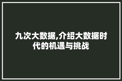 九次大数据,介绍大数据时代的机遇与挑战