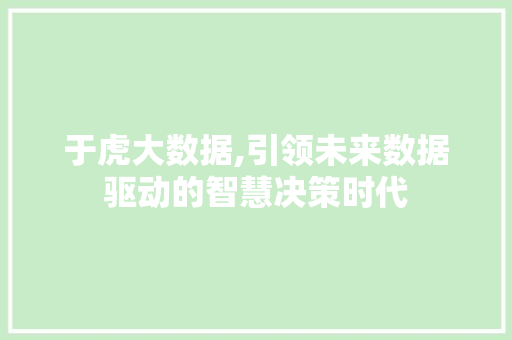 于虎大数据,引领未来数据驱动的智慧决策时代