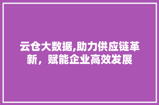 云仓大数据,助力供应链革新，赋能企业高效发展