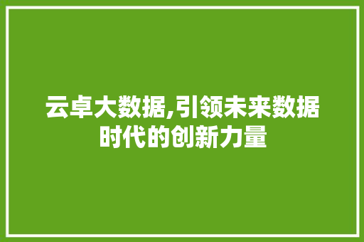 云卓大数据,引领未来数据时代的创新力量