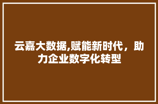 云嘉大数据,赋能新时代，助力企业数字化转型