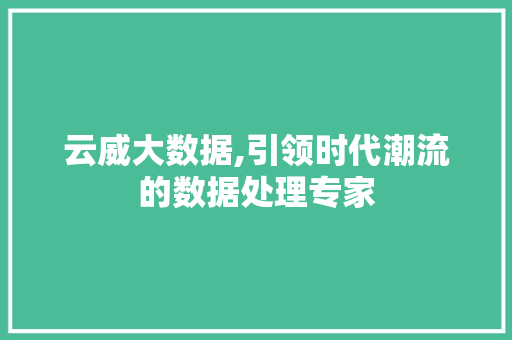 云威大数据,引领时代潮流的数据处理专家