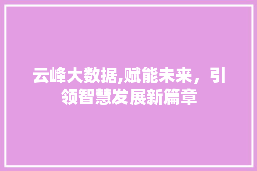 云峰大数据,赋能未来，引领智慧发展新篇章