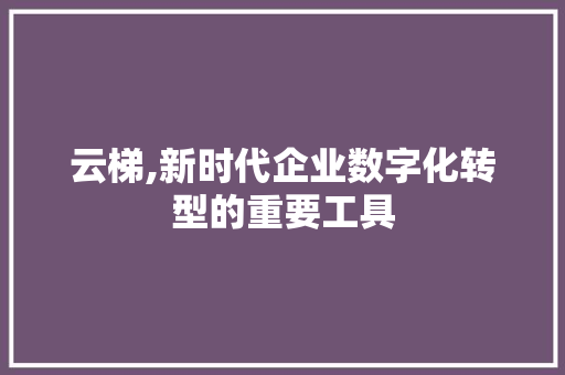 云梯,新时代企业数字化转型的重要工具