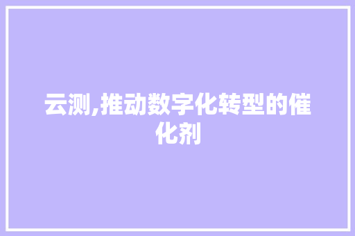 云测,推动数字化转型的催化剂