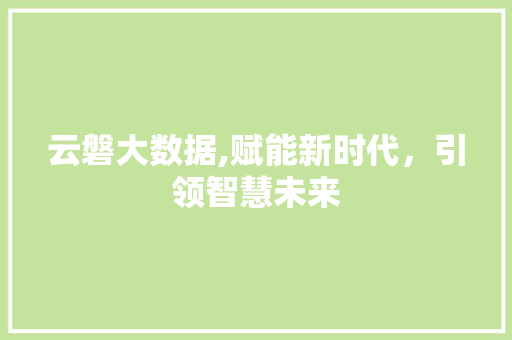 云磐大数据,赋能新时代，引领智慧未来