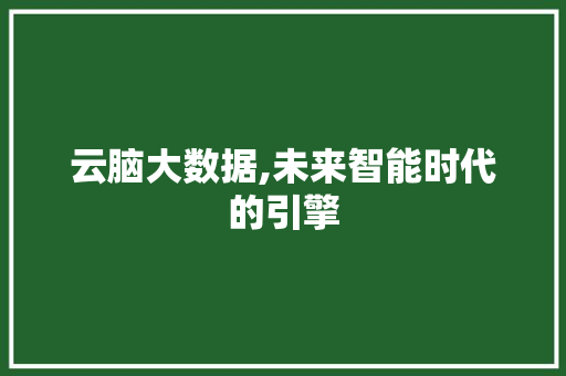 云脑大数据,未来智能时代的引擎