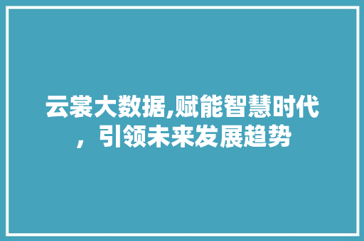 云裳大数据,赋能智慧时代，引领未来发展趋势