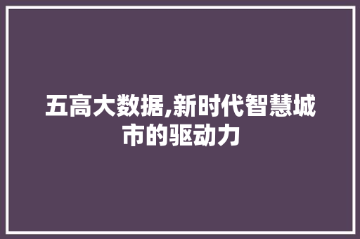 五高大数据,新时代智慧城市的驱动力