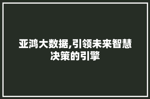 亚鸿大数据,引领未来智慧决策的引擎