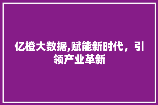 亿橙大数据,赋能新时代，引领产业革新