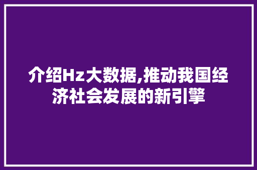 介绍Hz大数据,推动我国经济社会发展的新引擎