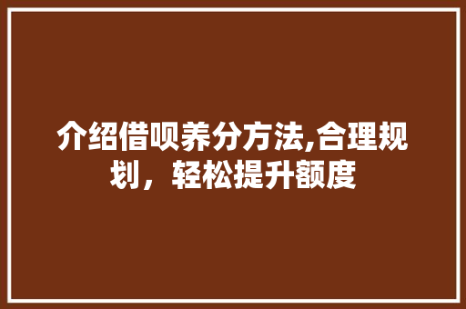 介绍借呗养分方法,合理规划，轻松提升额度