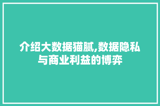 介绍大数据猫腻,数据隐私与商业利益的博弈