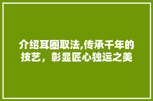 介绍耳圈取法,传承千年的技艺，彰显匠心独运之美