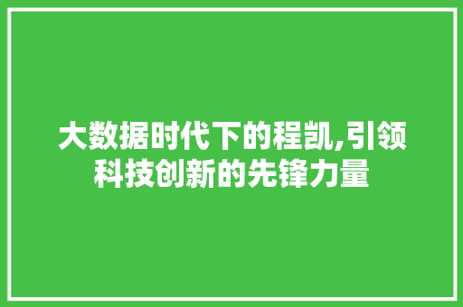 大数据时代下的程凯,引领科技创新的先锋力量