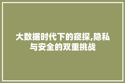 大数据时代下的窥探,隐私与安全的双重挑战