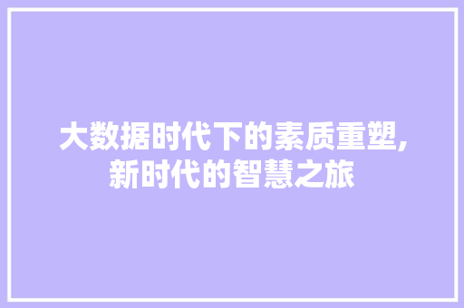 大数据时代下的素质重塑,新时代的智慧之旅