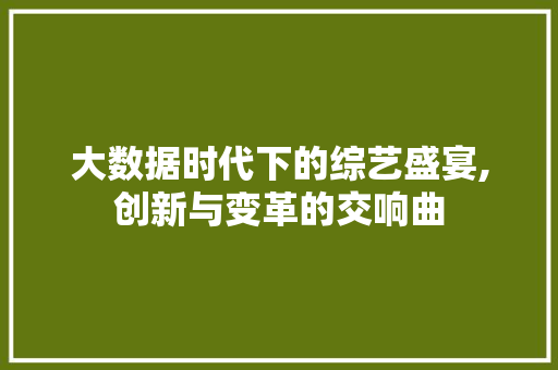 大数据时代下的综艺盛宴,创新与变革的交响曲