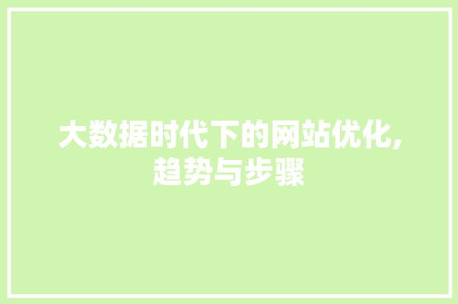 大数据时代下的网站优化,趋势与步骤