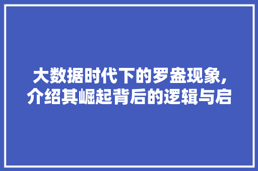 大数据时代下的罗盎现象,介绍其崛起背后的逻辑与启示