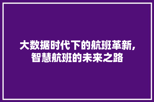 大数据时代下的航班革新,智慧航班的未来之路