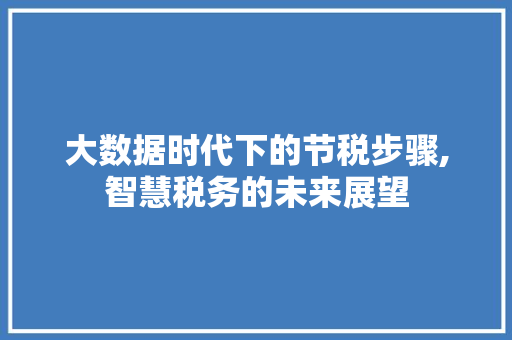 大数据时代下的节税步骤,智慧税务的未来展望