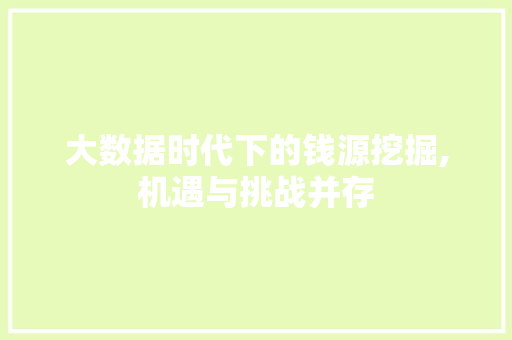 大数据时代下的钱源挖掘,机遇与挑战并存