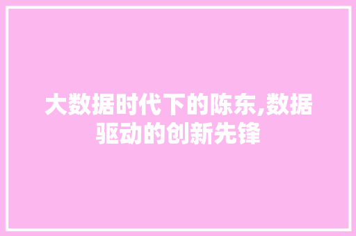 大数据时代下的陈东,数据驱动的创新先锋