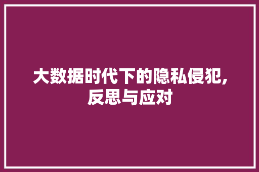 大数据时代下的隐私侵犯,反思与应对