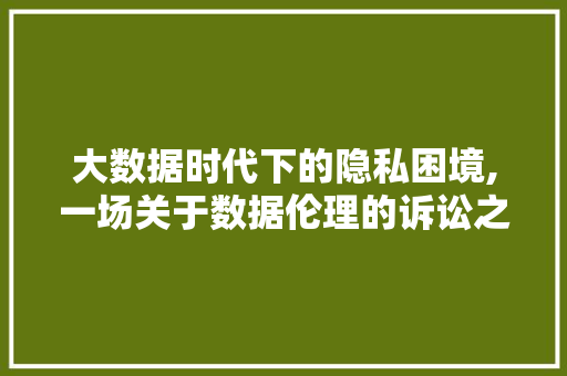 大数据时代下的隐私困境,一场关于数据伦理的诉讼之战