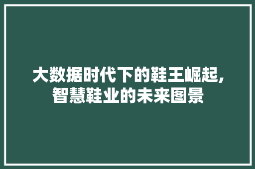 大数据时代下的鞋王崛起,智慧鞋业的未来图景