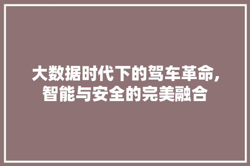 大数据时代下的驾车革命,智能与安全的完美融合