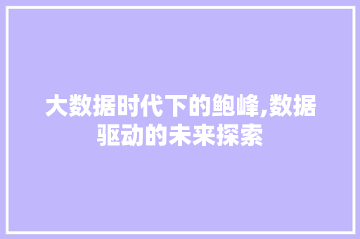 大数据时代下的鲍峰,数据驱动的未来探索