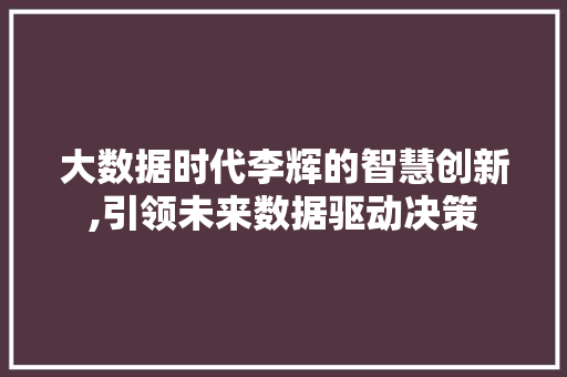 大数据时代李辉的智慧创新,引领未来数据驱动决策