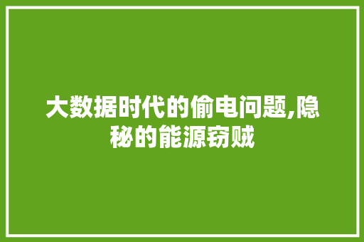 大数据时代的偷电问题,隐秘的能源窃贼