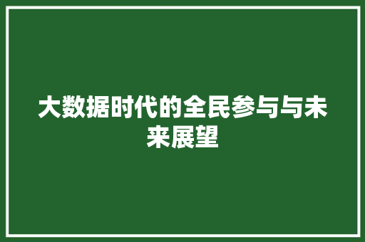 大数据时代的全民参与与未来展望