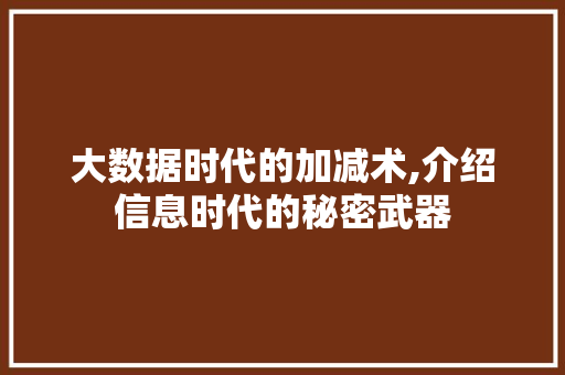 大数据时代的加减术,介绍信息时代的秘密武器