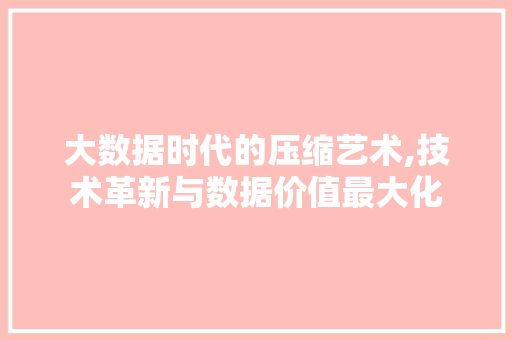 大数据时代的压缩艺术,技术革新与数据价值最大化