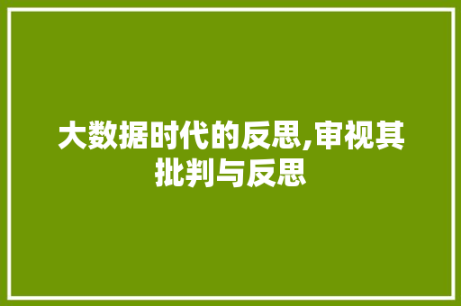 大数据时代的反思,审视其批判与反思