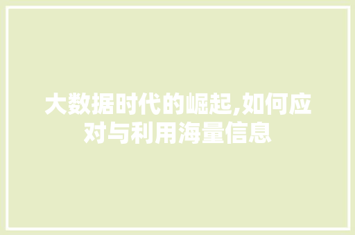 大数据时代的崛起,如何应对与利用海量信息