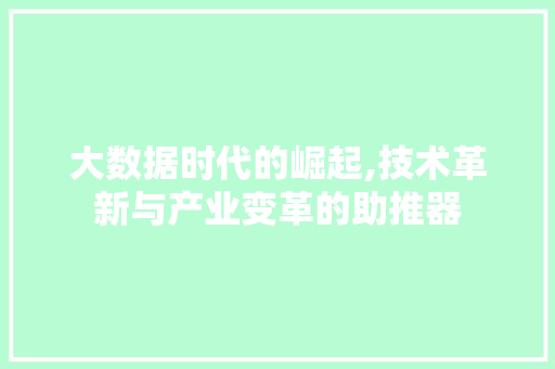 大数据时代的崛起,技术革新与产业变革的助推器