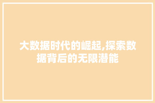 大数据时代的崛起,探索数据背后的无限潜能