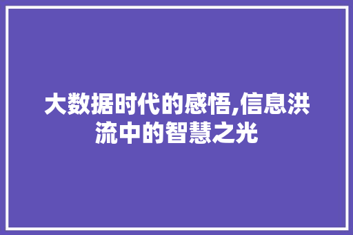 大数据时代的感悟,信息洪流中的智慧之光