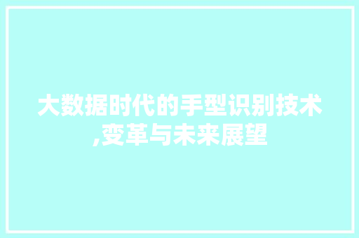 大数据时代的手型识别技术,变革与未来展望