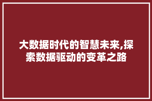 大数据时代的智慧未来,探索数据驱动的变革之路